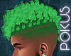 Parakeet Frohawk