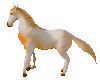 goldenblondhorse