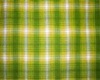 green and yellow plaid