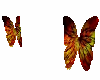 [D]Butterfly