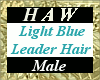 Light Blue Leader Hair