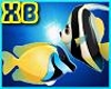 XB - FISH ENHANCER 3