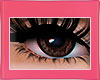 💕 My 2026 Bottom Lash