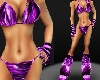 *Sexy Purple Bikini Anim
