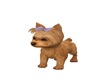 Valentine Puppy Yorkie