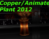 Copper/Animated/Plant