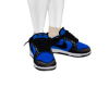 nk dunk