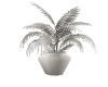White Vase Plant 4