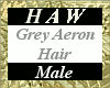 Grey Aeron Hair - M