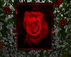 Red Red Rose frame