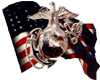 marine insignia and flag