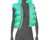eVn e Teal Puffer WOS