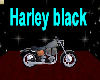 Harley black