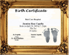 birth certificate