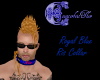Royal Blue Ris collar 2