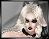 [CS] Xmas PVC Cat