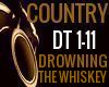 DROWN THE WHISKEY REMIX