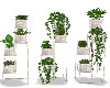 Modern City Plants
