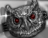 5C CUSTOM OWL N&S