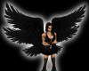 Angel black wings