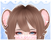 [T] Mouse ears Cocoa