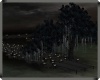 [A\Summer night
