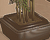 SM►Lounge Plant_Deco