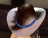 Kiwi's Cowgirl Hat