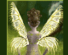 Golden Fairy Wings