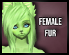 Faeryl fur (f)