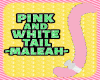 ✧ Pink Tail ✧