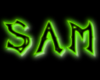 Sam Neon Rave Sign