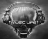 MUSIC-LIFE 501