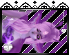 SP Lilac Ears