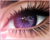 Starry - Purple Eyes