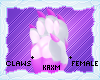 ꨄStacy Clawsꨄ