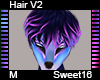 Sweet16 Hair M V2