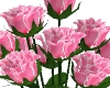 Pink Roses/Vase
