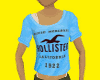 Hollister Shirt Female