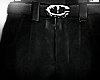 ✦ Cargo