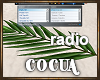 Cocua Palm Leaf Radio