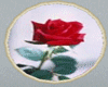 Red Rose on White Rug