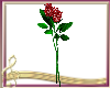 Sticker- Rose Bouquet