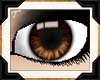 [T] Cocoa Eyes