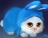 Photo blue bunny cat