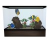 Large Tang Aquarium