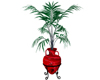 ~Rz~Amphora Plant