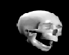 Skull4