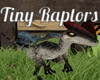 Tiny Raptors