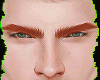 Brow Ginger